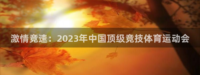 下载风速体育