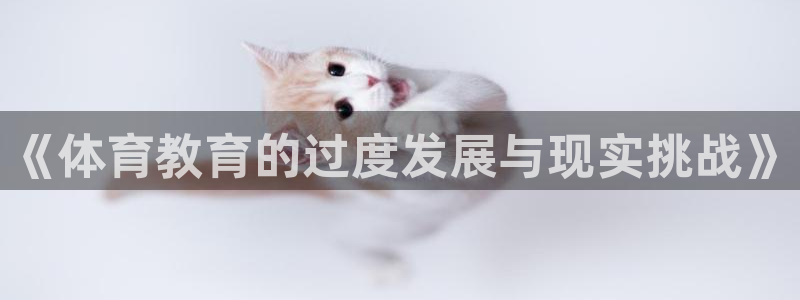 风速体育nba直播