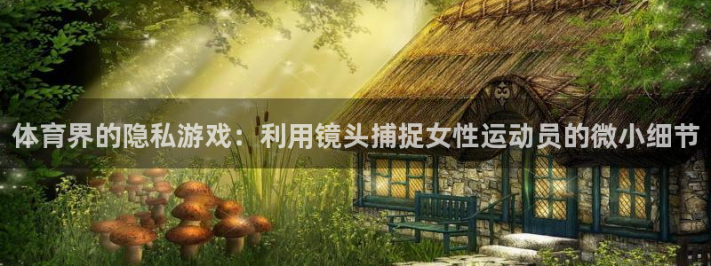 风速体育