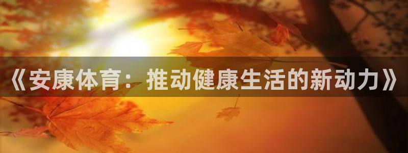 风速体育官网