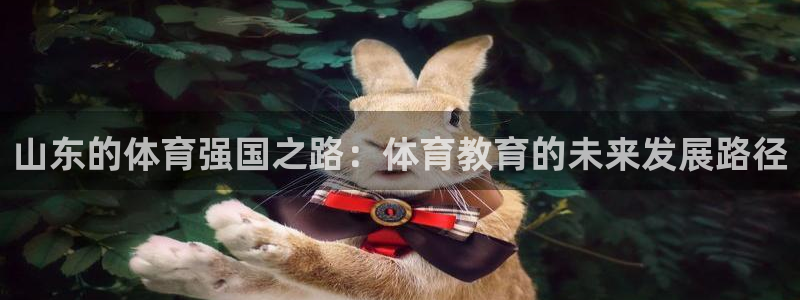 风速体育nba直播