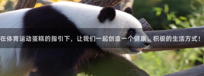 风速体育app下载安装最新版本