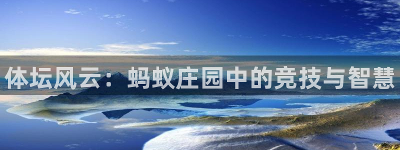 风速体育直播