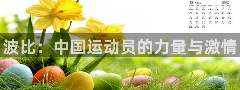 风速体育