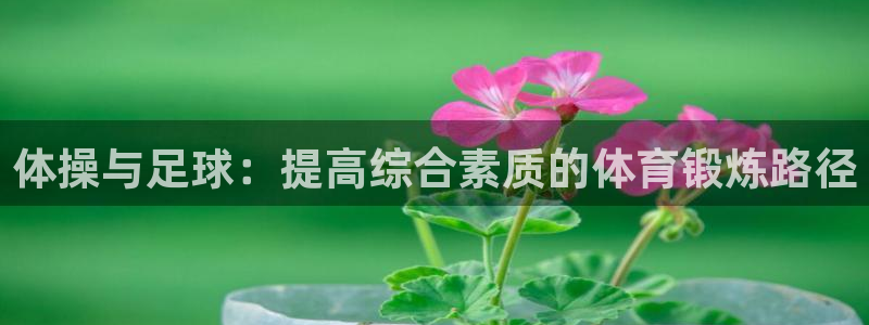 风速体育nba直播