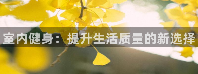下载风速体育