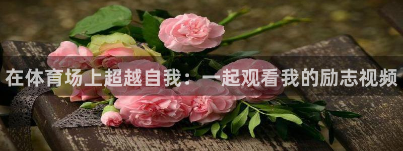 风速体育nba免费直播