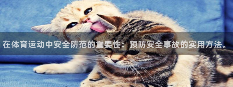 风速体育app官方下载