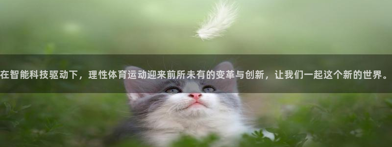风速体育直播app