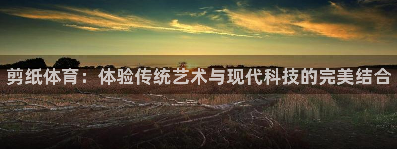风速体育nba免费直播