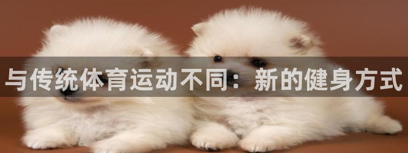 风速体育