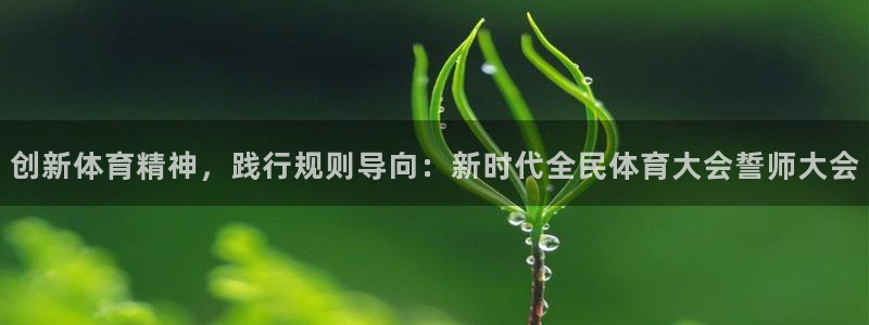 风速体育下载
